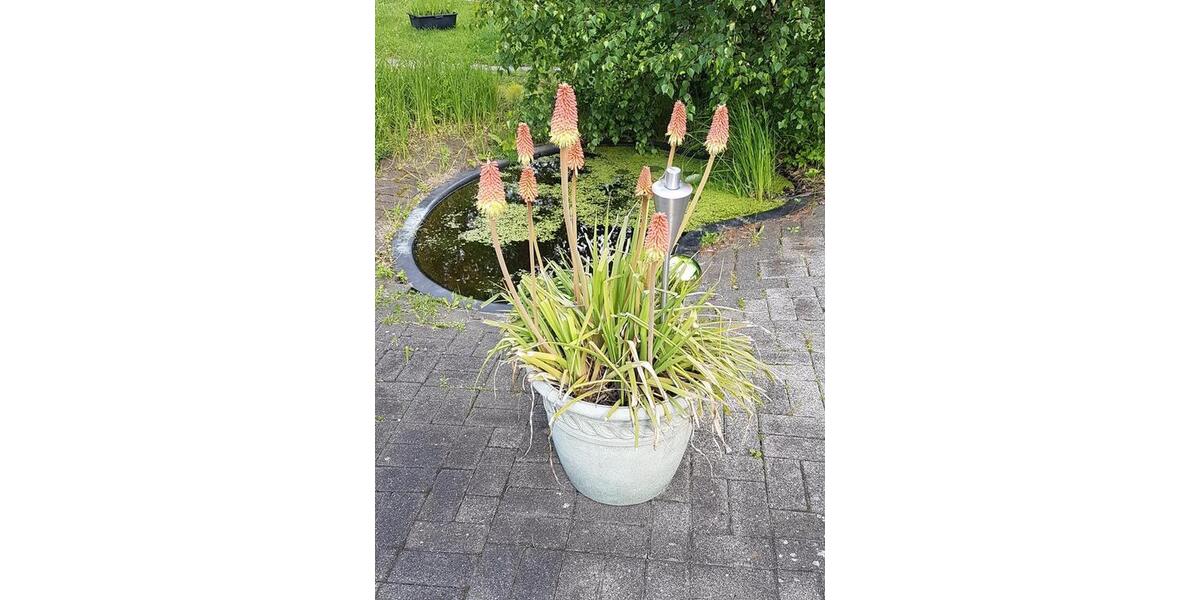 Mehrfamilienhaus, Wohnhaus Großalmerode - 460.000&euro; | Angebot:19934212