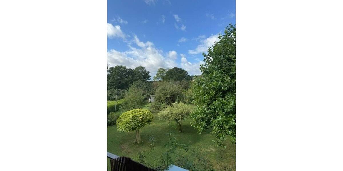 Toll ausgestattete 2,5-Zimmer-Wohnung - sofort frei! 2 zimmer