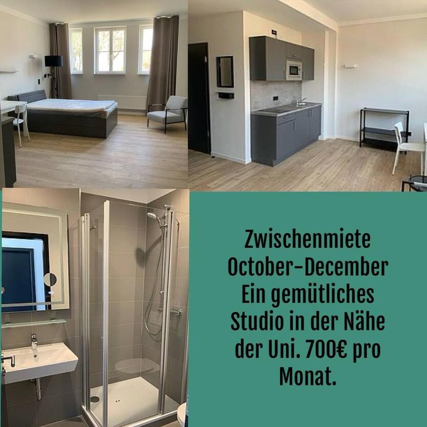 Zwischenmiete (Oktober–November–Dezember)