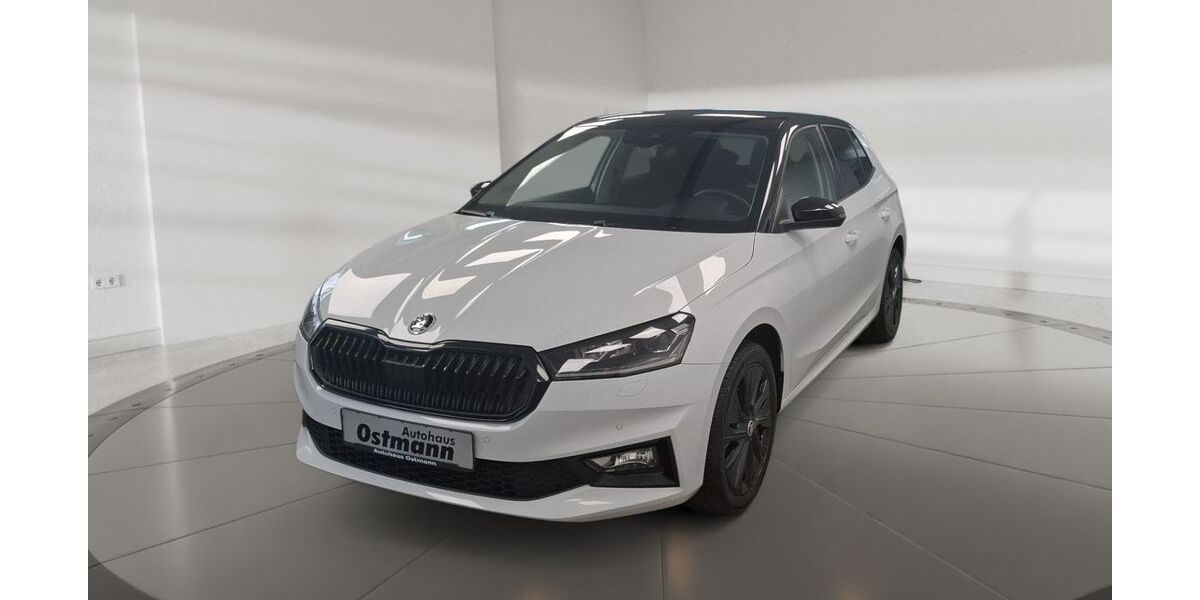 Skoda Fabia 53.344 km 17.981 &euro; Wolfhagen 34466