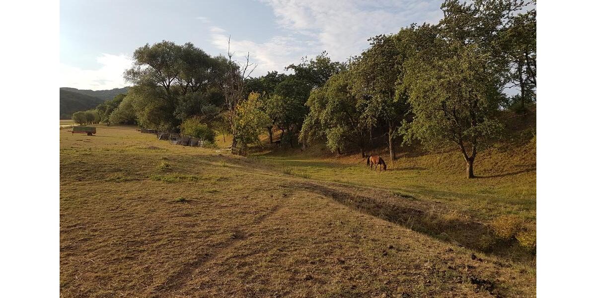 Mehrfamilienhaus, Wohnhaus Großalmerode - 460.000&euro; | Angebot:19934212