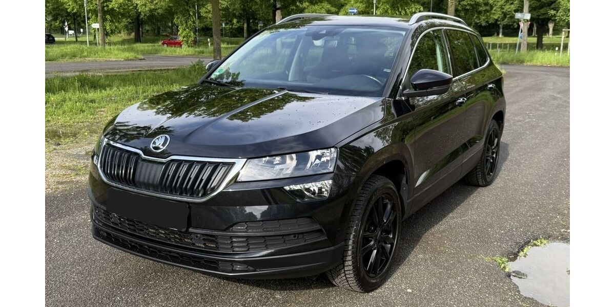 Skoda Karoq 113.500 km 16.750 &euro; Kassel 34117