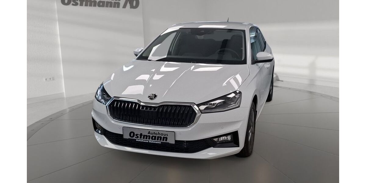 Skoda Fabia 4.900 km 25.389 &euro; Wolfhagen 34466