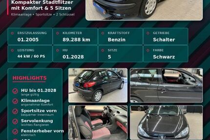 Peugeot 206 89.288 km 2.890 &euro; Kassel 34123