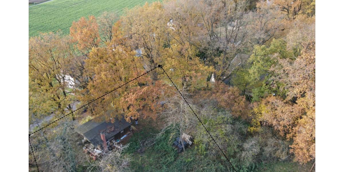 Ländlich wohnen, urban genießen - Großzügiges Grundstück für Ihr KfW 40-Haus in grüner Lage zimmer