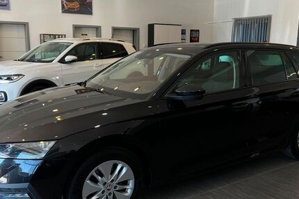 Skoda Octavia 256.984 km 13.985 &euro; Volkmarsen 34471