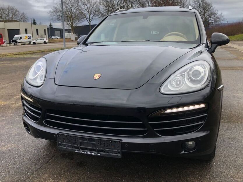 Cayenne