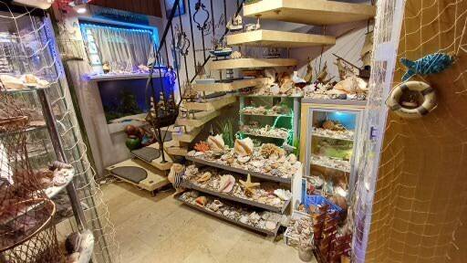 1 A TOP Lage Kassel Niederzwehren 8 zimmer