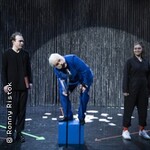 Das Gewicht der Ameisen