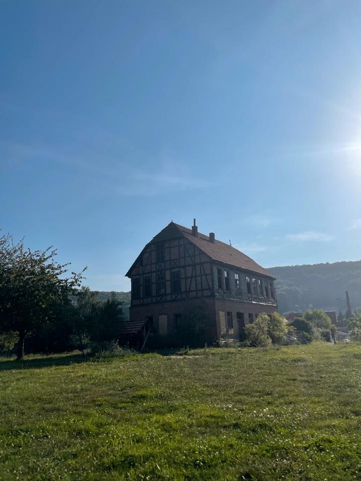 Koppel Weide mit sanierungsbedürftigem Landhaus