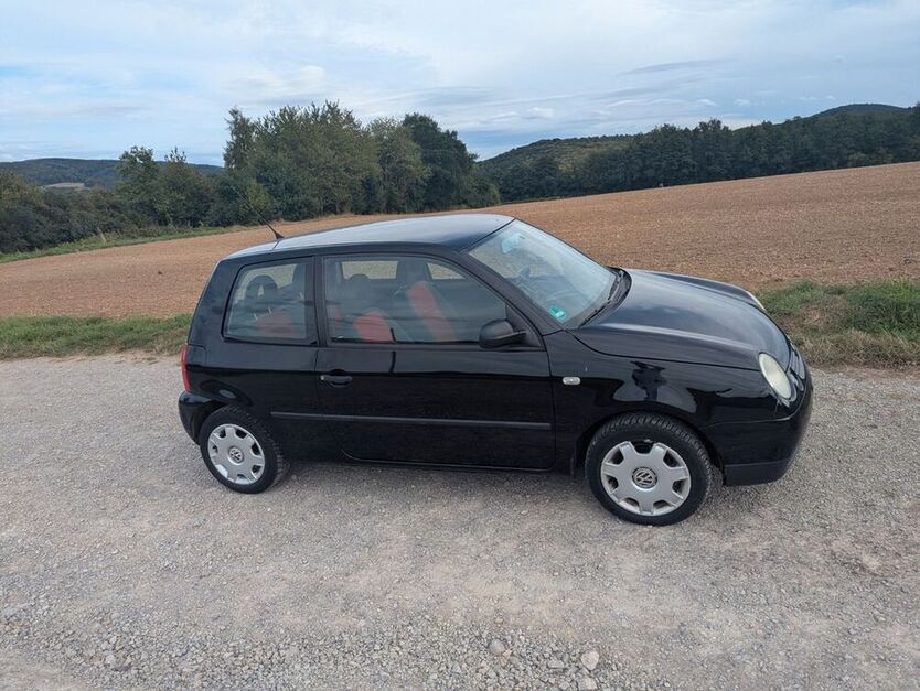 Lupo