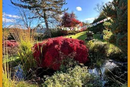 Haus zum Kaufen in Witzenhausen 549.000 € 250 m² 7 zimmer