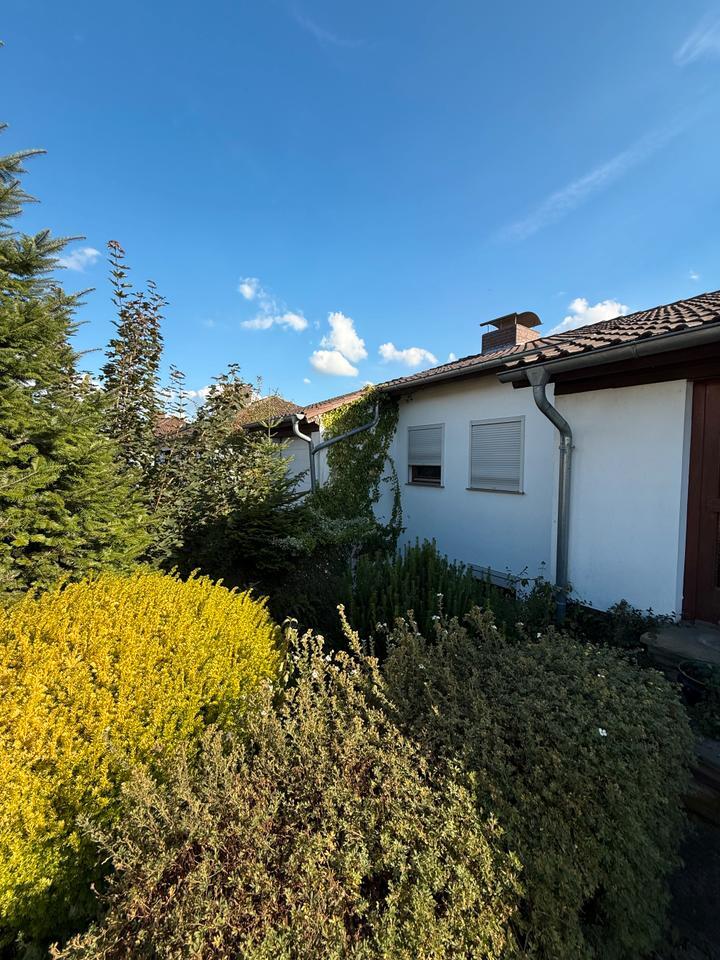 Charmantes Zweifamilienhaus in ruhiger Lage in Grebenstein