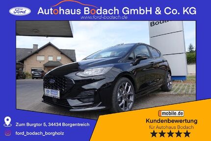 Ford Fiesta 16.890 km 19.990 € Borgentreich-Borgholz 34434