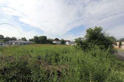 Grundstück zu verkaufen in Teutschenthal-Steuden 82.175 € 865 m²
