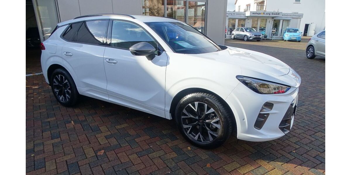 Cupra Terramar 19.256 km 32.750 &euro; Hofgeismar 34369