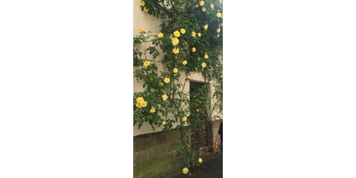 Einfamilienhaus Hessisch Lichtenau - 9 Zimmer, 110 m&sup2;, 950&euro; | Angebot:12321038