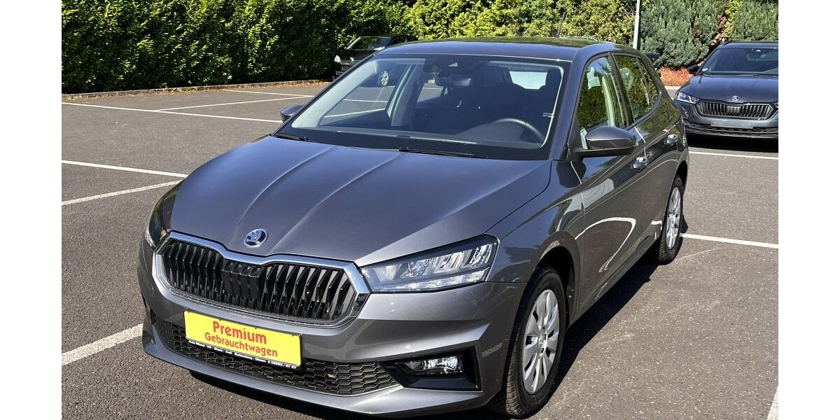 Skoda Fabia 21.750 km 19.390 € Gudensberg-Dissen 34281