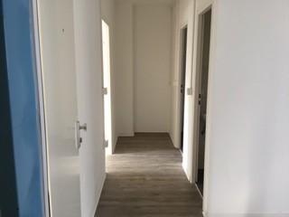 Ansprechende 3-Zimmer-Wohnung in guter Wohnlage 3 zimmer