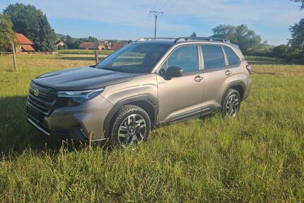 Subaru Forester 5.181 km 34.999 &euro; Edermünde 34295