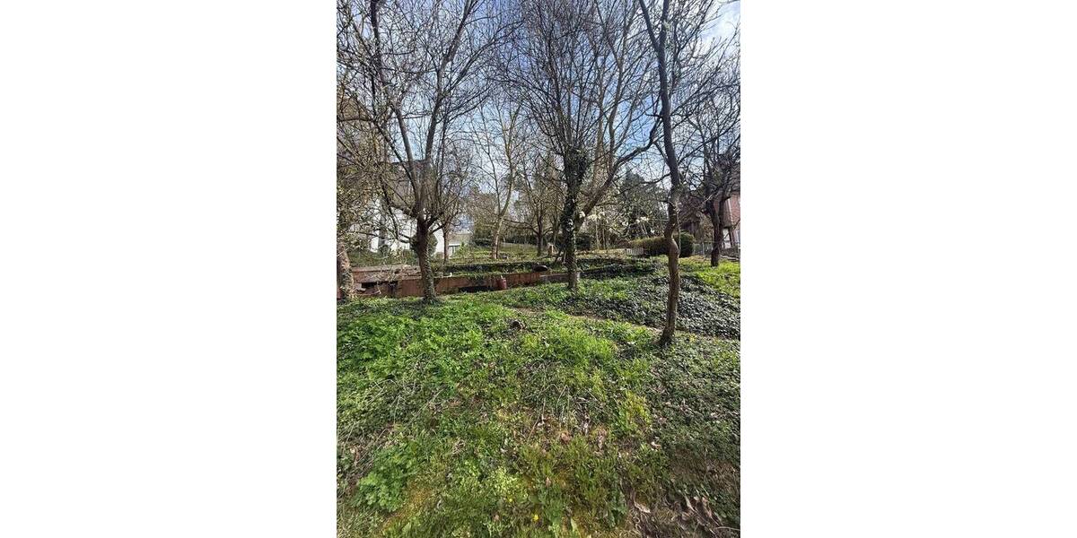 Grundstück Naumburg - 50.000&euro; | Angebot:26458392