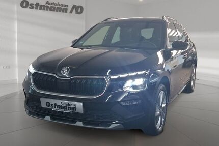 Skoda Kamiq 10.000 km 32.689 &euro; Wolfhagen 34466