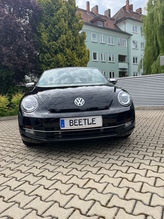 Beetle
