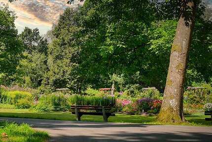 Gastronomie in Kassel 780.000 € 900 m² zimmer