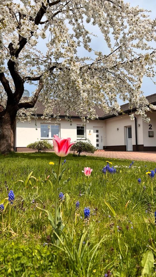 Ferienhaus Marlen, von privat, barrierefrei, 2 SZ, nähe Edersee