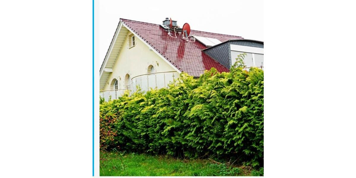 Einfamilienhaus Lohfelden - 5 Zimmer, 245 m&sup2;, 3.000&euro; | Angebot:26698564
