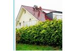 Einfamilienhaus Lohfelden - 5 Zimmer, 245 m&sup2;, 3.000&euro; | Angebot:26698564