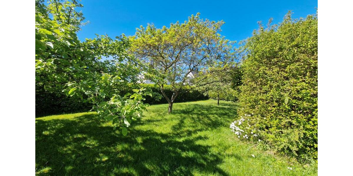 Einfamilienhaus Witzenhausen Dohrenbach - 3 Zimmer, 100 m&sup2;, 359.000&euro; | Angebot:26876256