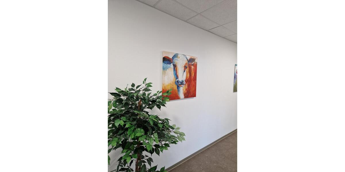 Gewerbeobjekt Spangenberg - 2.500&euro; | Angebot:24627325