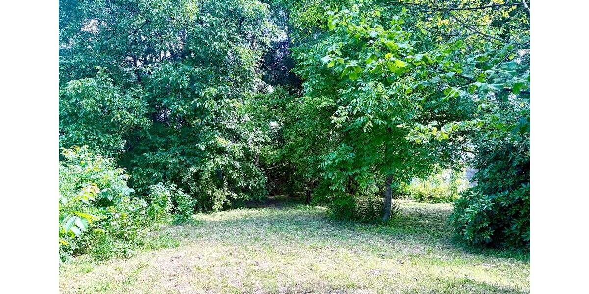 Einfamilienhaus Hann. Münden - 2 Zimmer, 35 m&sup2;, 70.000&euro; | Angebot:26679812