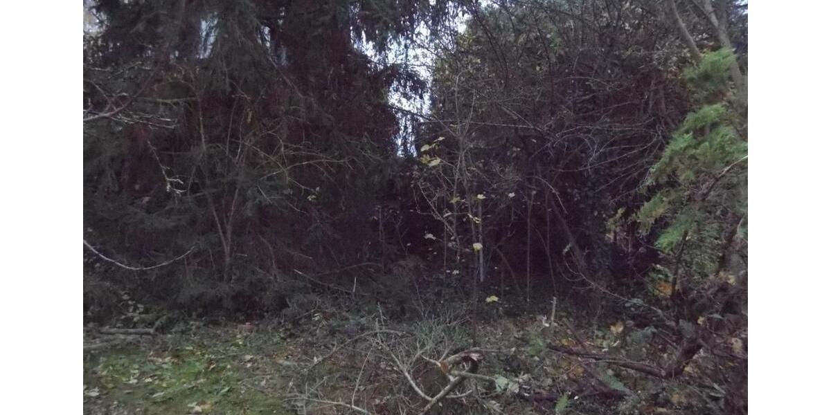 Einfamilienhaus Kaufungen - 6 Zimmer, 120 m&sup2;, 249.000&euro; | Angebot:25655047