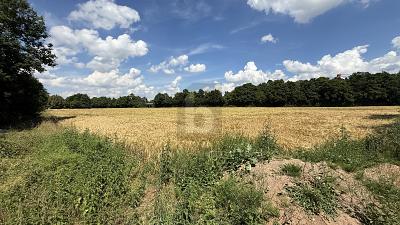 ATTRAKTIV MIT VIELFÄLTIGEN BEBAUUNGSMÖGLICHKEITEN - Grundstück Wabern | Angebot:27294128