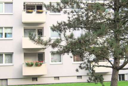 Wohnung Kassel Bettenhausen - 3 Zimmer, 70 m&sup2;, 637&euro; | Angebot:26745734