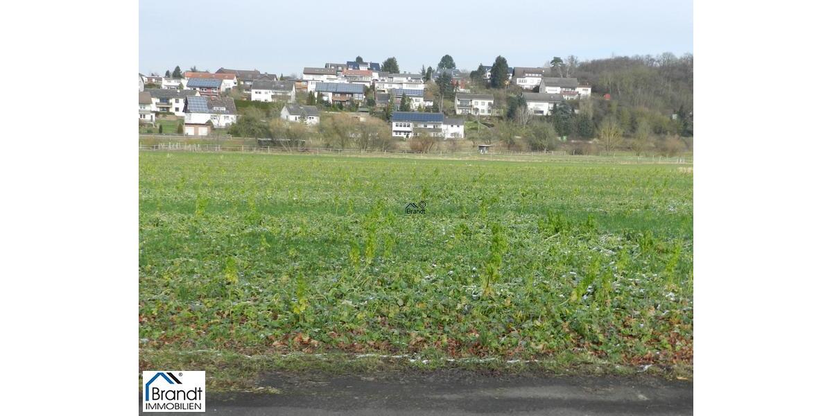 Baugrundstück für EFH oder DHH zimmer