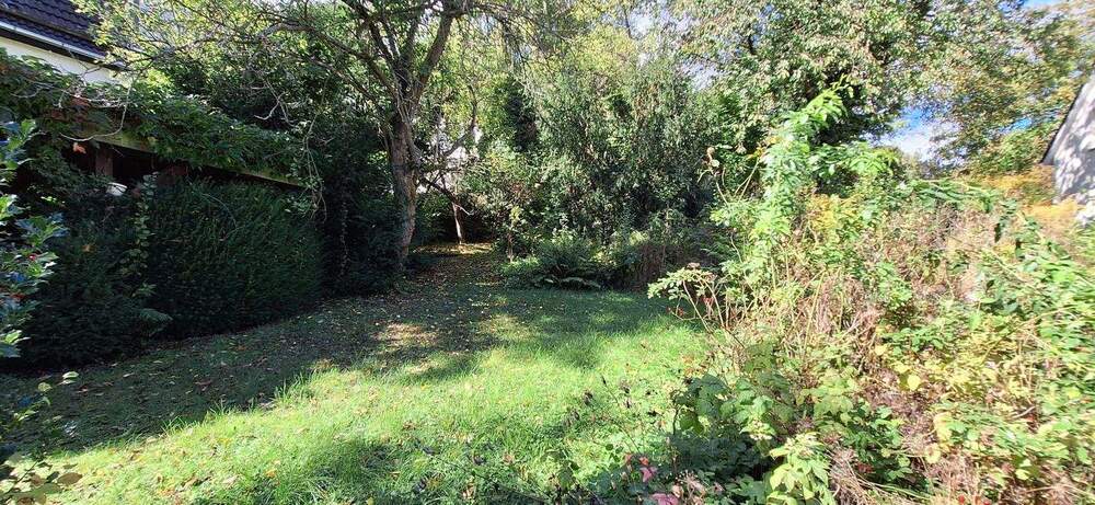  Attraktives Baugrundstück in begehrter Wohnlage Kassel-Brasselsberg zimmer