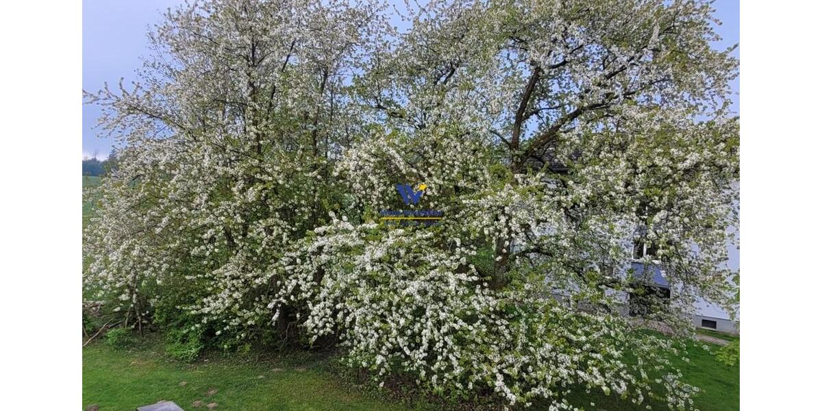 Etagenwohnung Hessisch Lichtenau - 3 Zimmer, 65 m&sup2;, 550&euro; | Angebot:26429346