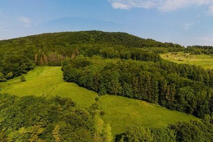 Grundstück Großalmerode - 92.460&euro; | Angebot:24627708