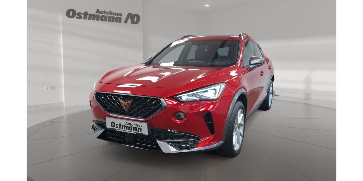 Cupra Formentor 103.122 km 21.670 &euro; Melsungen 34212