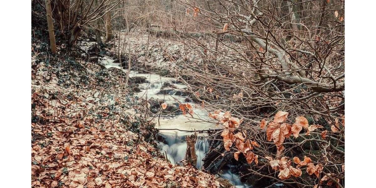 Etagenwohnung Kassel / Wilhelmshöhe Bad Wilhelmshöhe - 4 Zimmer, 82 m&sup2;, 349.000&euro; | Angebot:25835108