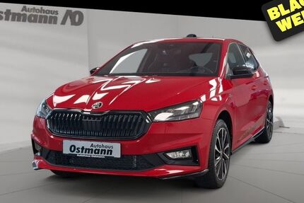 Skoda Fabia 4.500 km 24.889 € Wolfhagen 34466