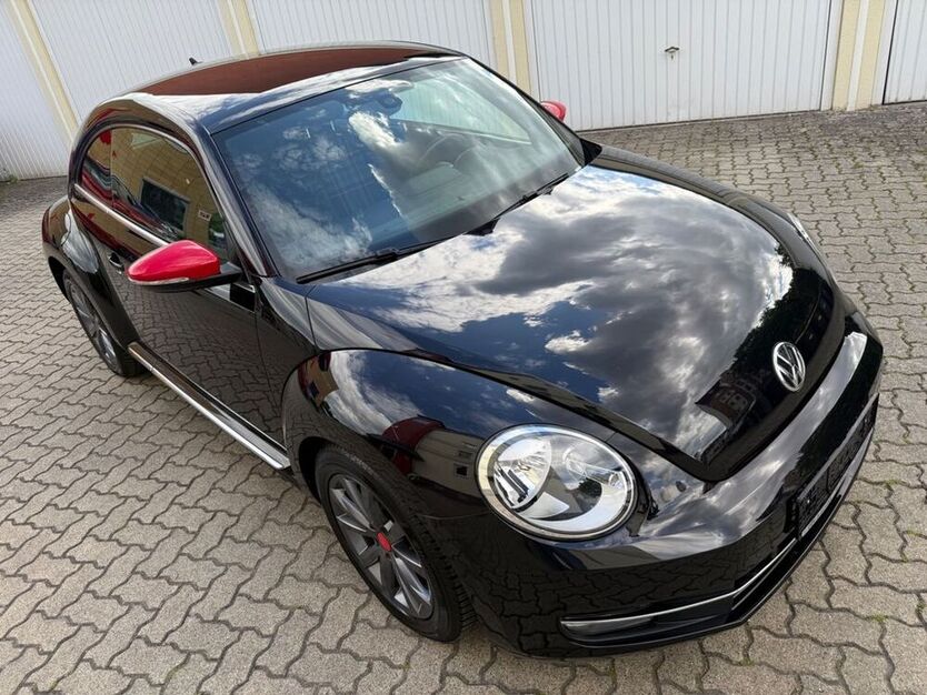 Beetle