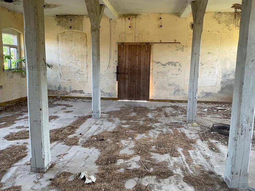 Koppel Weide mit sanierungsbedürftigem Landhaus
