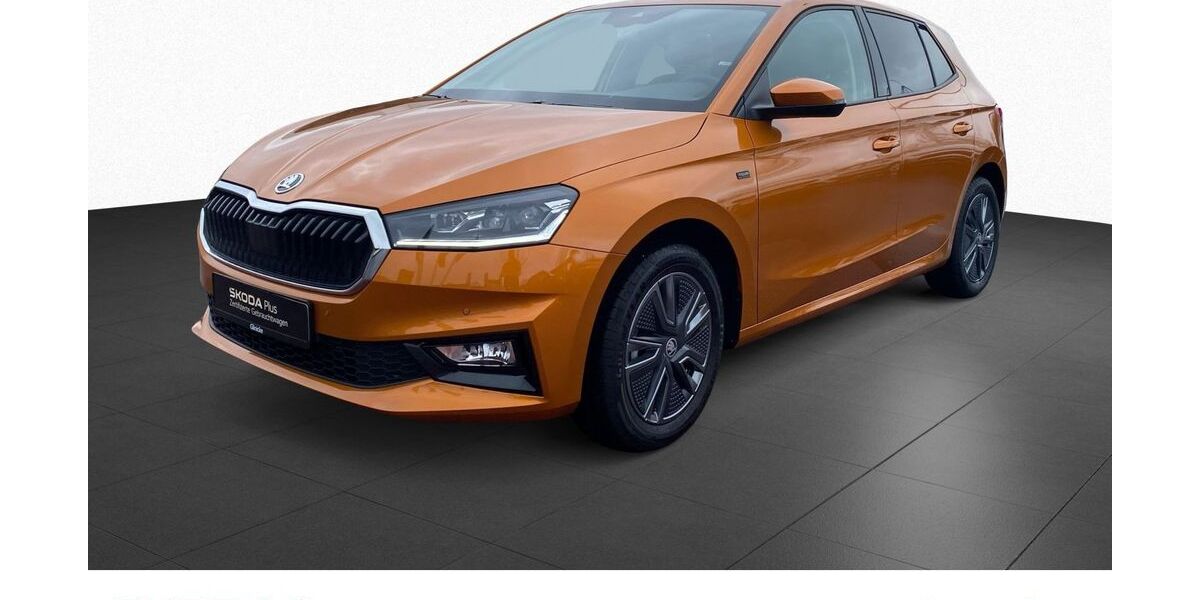 Skoda Fabia 5.057 km 19.833 &euro; Kassel 34123