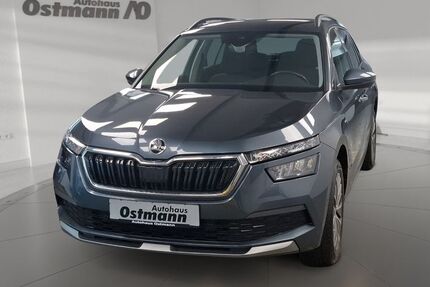 Skoda Kamiq 69.530 km 17.641 &euro; Wolfhagen 34466