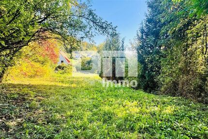 Schönes Baugrundstück mit Panoramablick in hervorragender Ortsrandlage - Grundstück Staufenberg | Angebot:27532393
