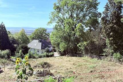 Grundstück Niedenstein - 109.000&euro; | Angebot:24798420